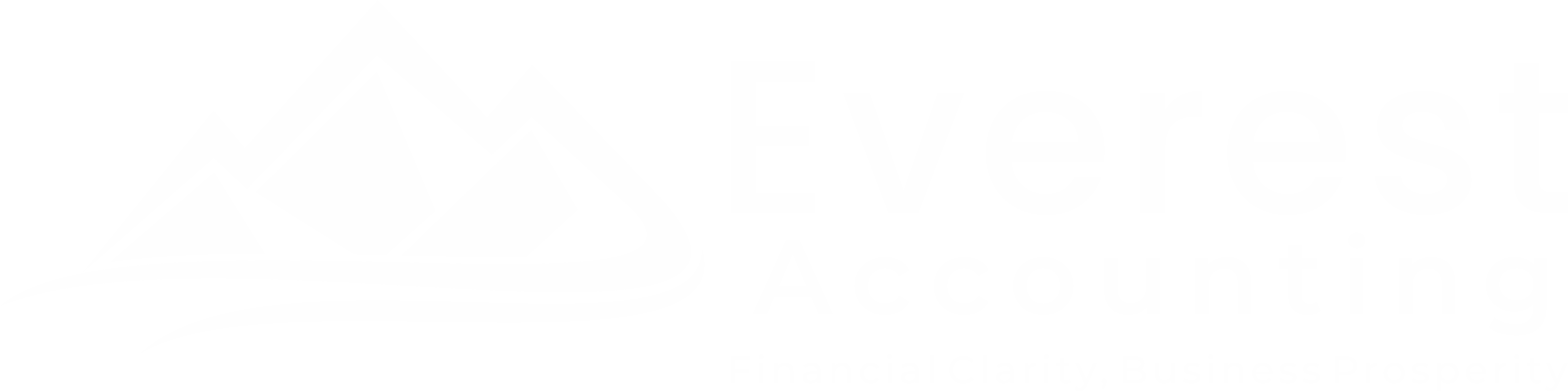 Everest Accounting Services